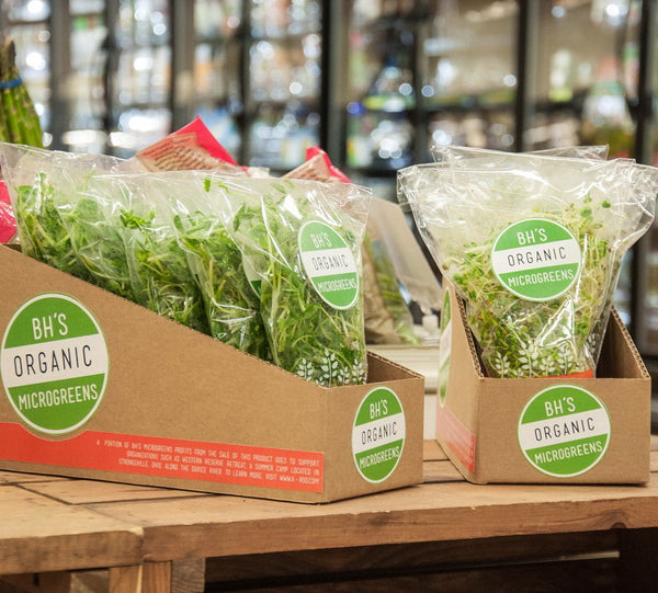 A&A Fresh Cut Herbs and Microgreens Sleeves - herb Bags - herb Garden - hydroponics Supplies - Home Garden