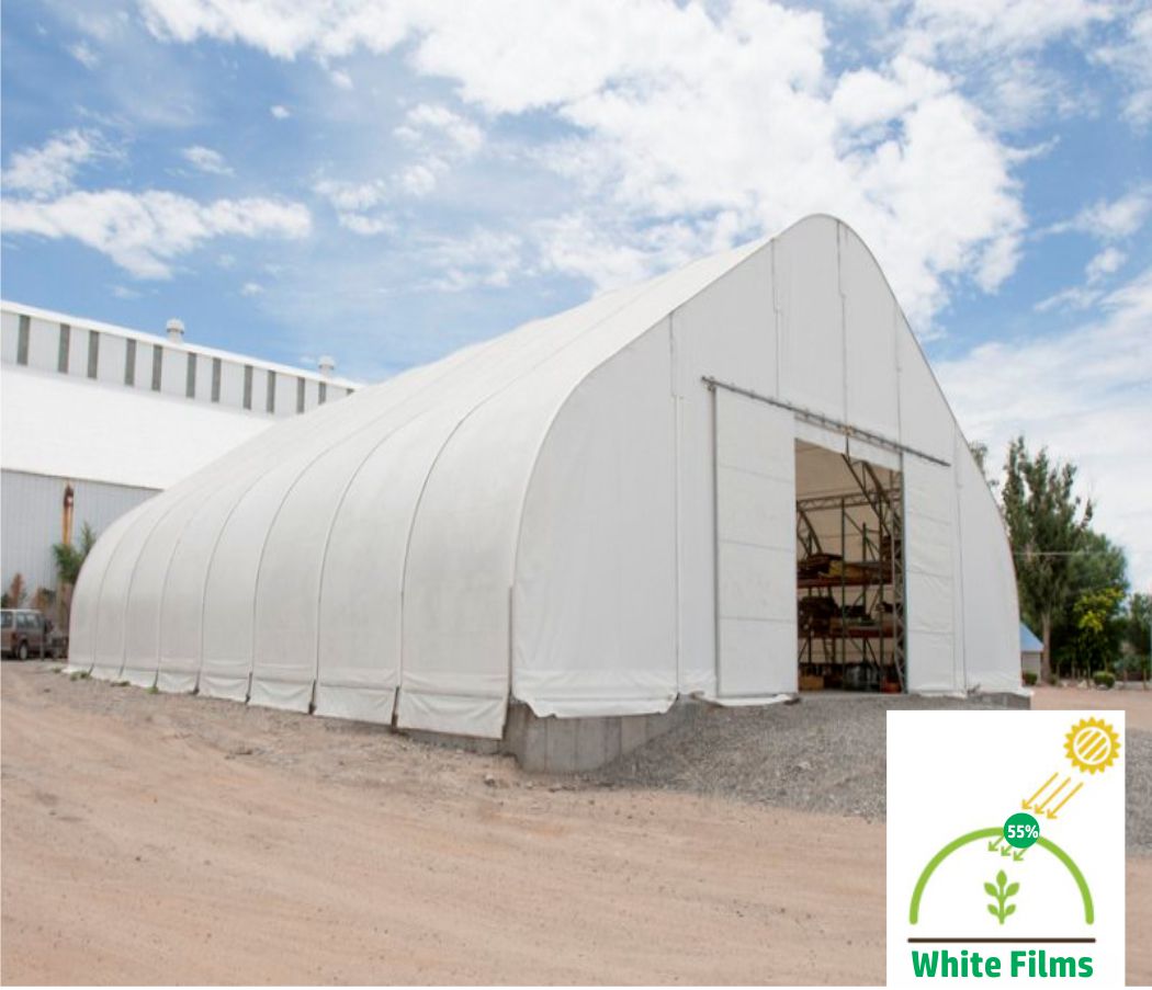 Greenhouse Plastic White Poly Cover Film UV Resistant 6mil 4 Year 55%