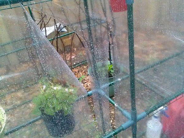 Greenhouse Plastic Poly Permanent Repair Tape UV Clear - 3 Inches x 108 Feet-A&A Grower Supplies