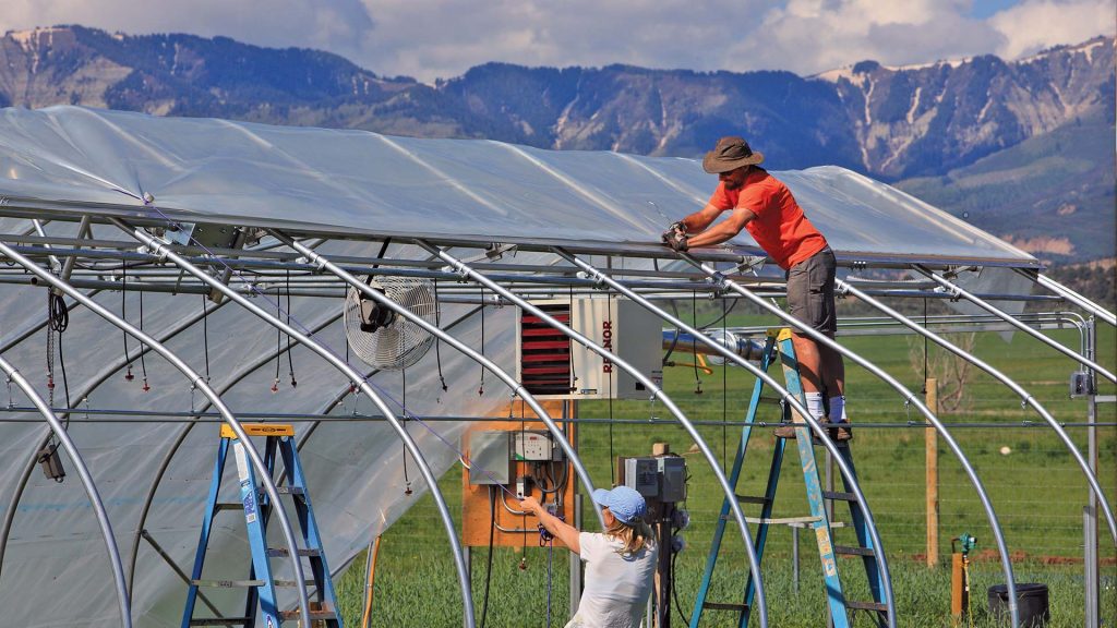 Happybuy Greenhouse Fil 10 x 25 ft, Greenhouse Polyethylene Fil 6 il Thickness, Greenhouse Happybuy Greenhouse Fil 10 x 25 ft, Greenhouse Polyethylene Fil 6 il Thickness, Greenhouse