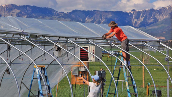 Greenhouse Plastic Clear Poly Film UV Resistant 6mil 4 Year 90% Light transmission - 14 x 25 Feet-A&A Grower Supplies