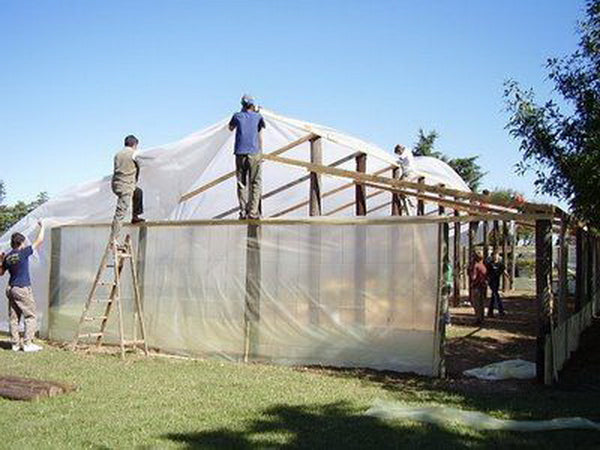 Greenhouse Plastic Clear Poly Film UV Resistant 6mil 4 Year 90% Light transmission - 16 x 25 Feet-A&A Grower Supplies